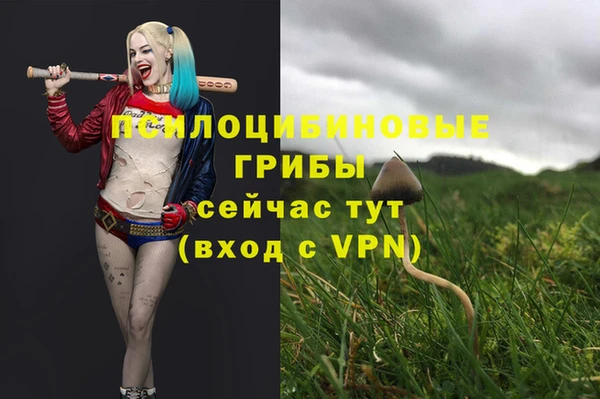 амф Баксан